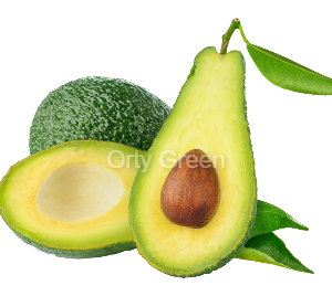 Avocat 1kg