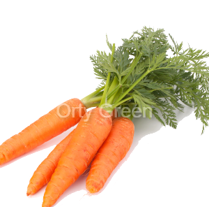 CAROTTES (1Kg) جزر