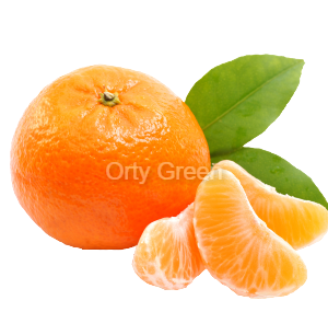 Mandarine 1kg