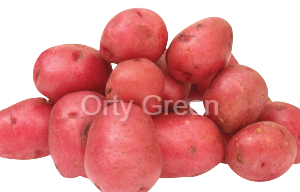 Pomme de terre rouge 1kg